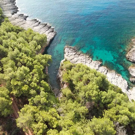 House Lara Hébergement de vacances Vela Luka